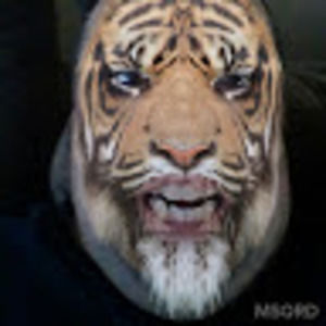 Meet your Posher, Joe